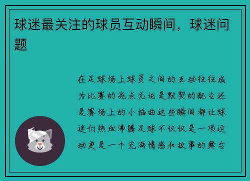 球迷最关注的球员互动瞬间，球迷问题